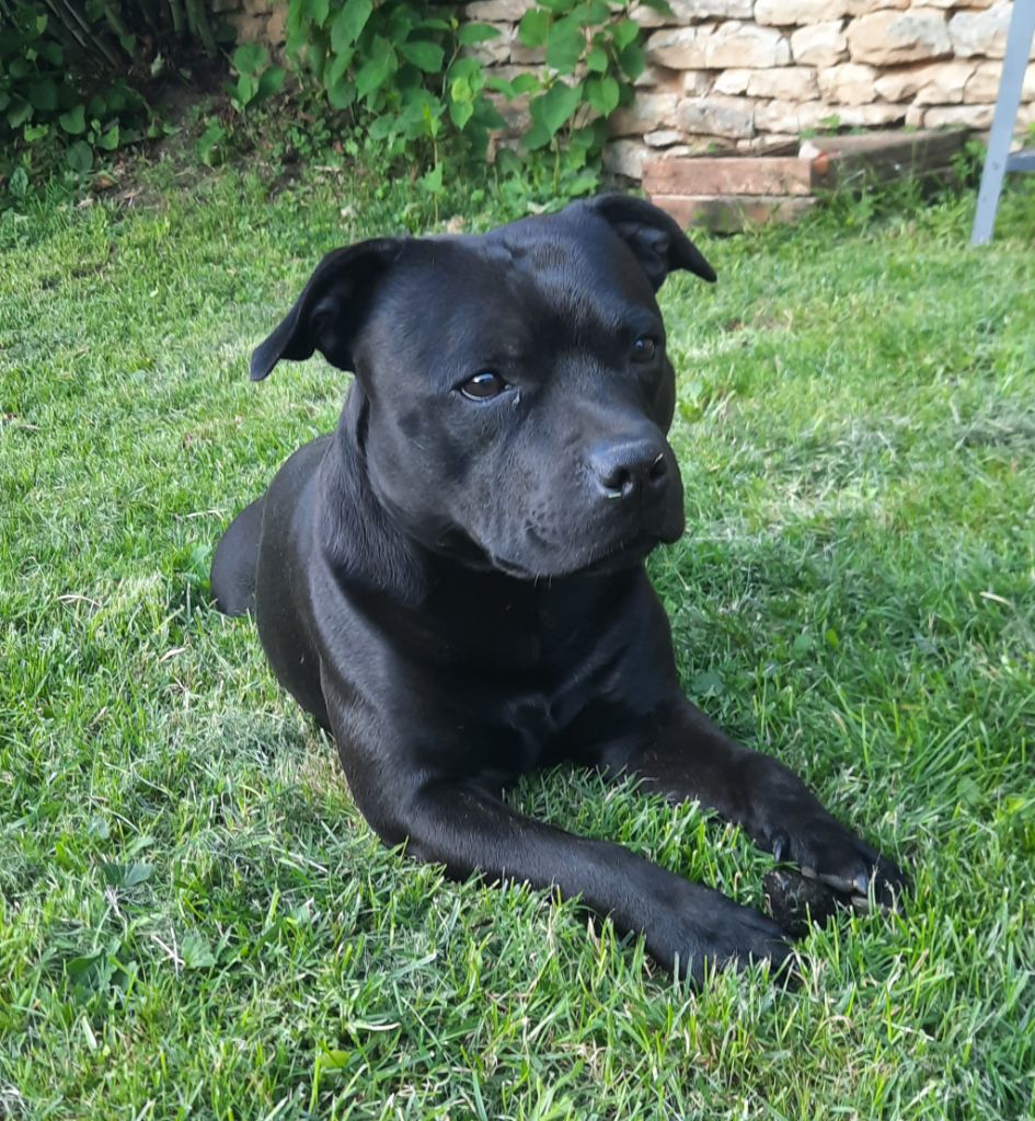 Pékin (Sans Affixe)